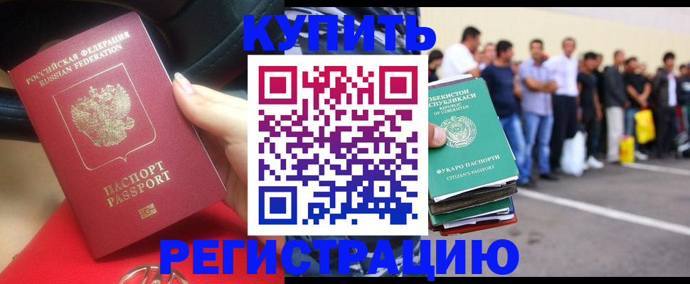 где прописаться в Дмитрове